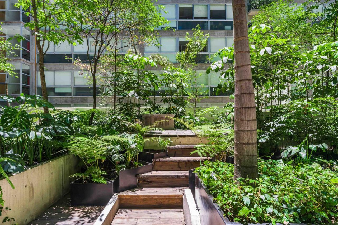 Apartamento Increible Departamento En Santa Fe Con Gym, Alberca Y Estacionamiento *